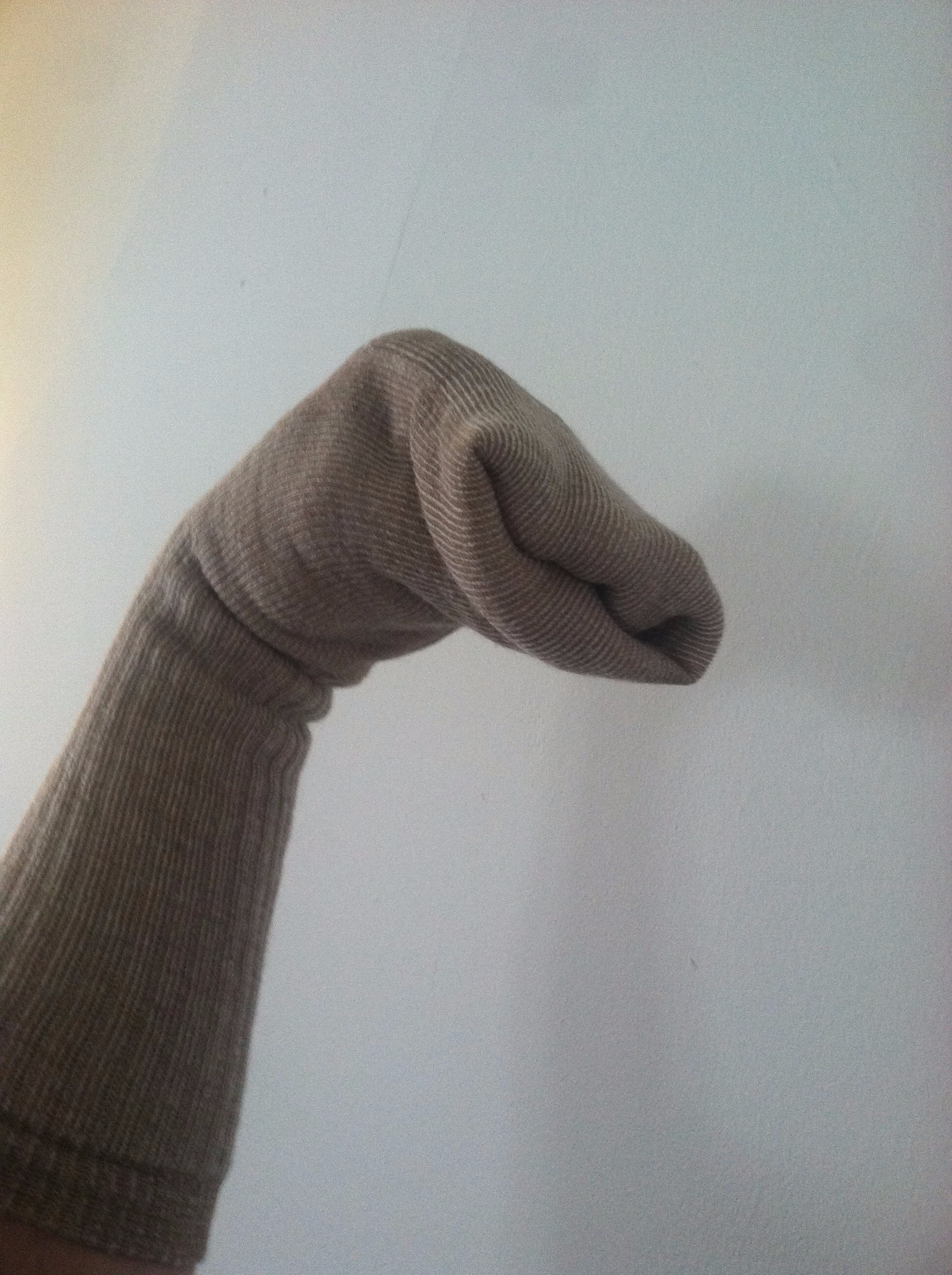 sockpuppet2.JPG