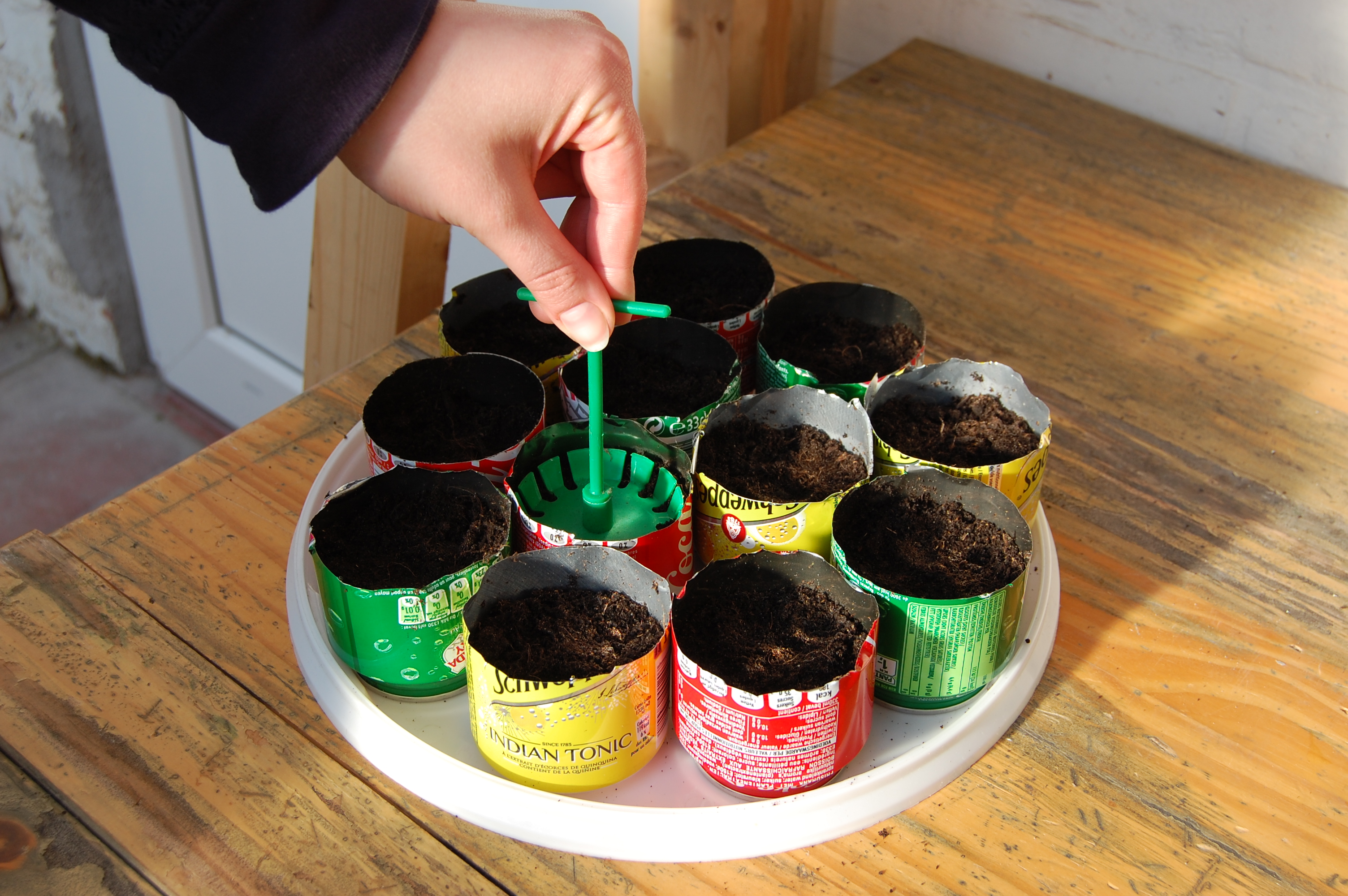 soda can seedling container 06.jpg