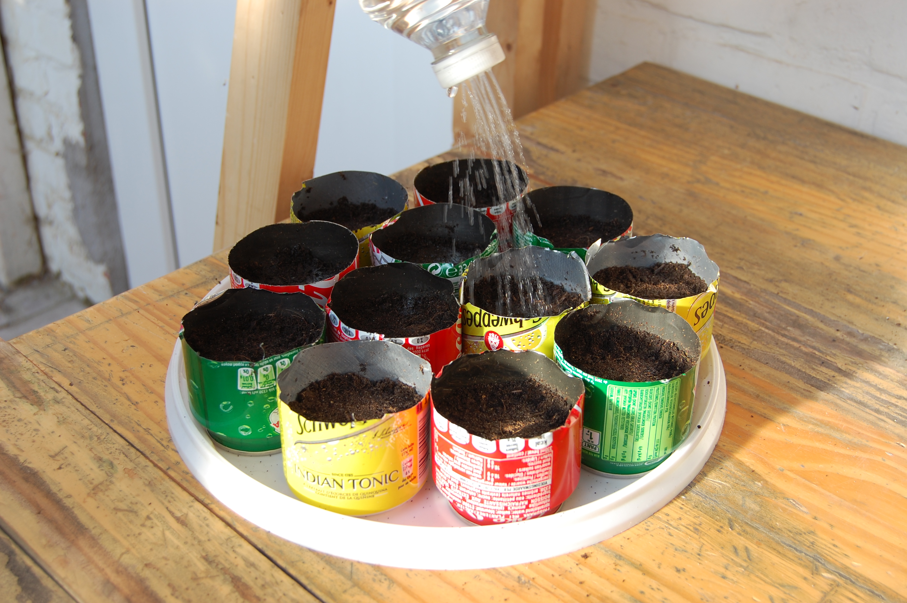 soda can seedling container 07.jpg