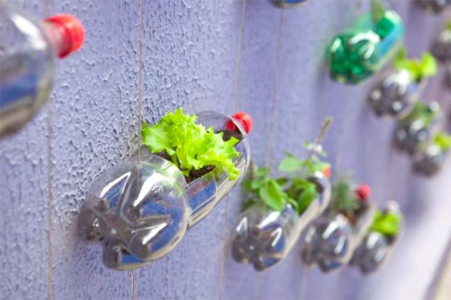 soda-bottle-wall-garden-5.jpg