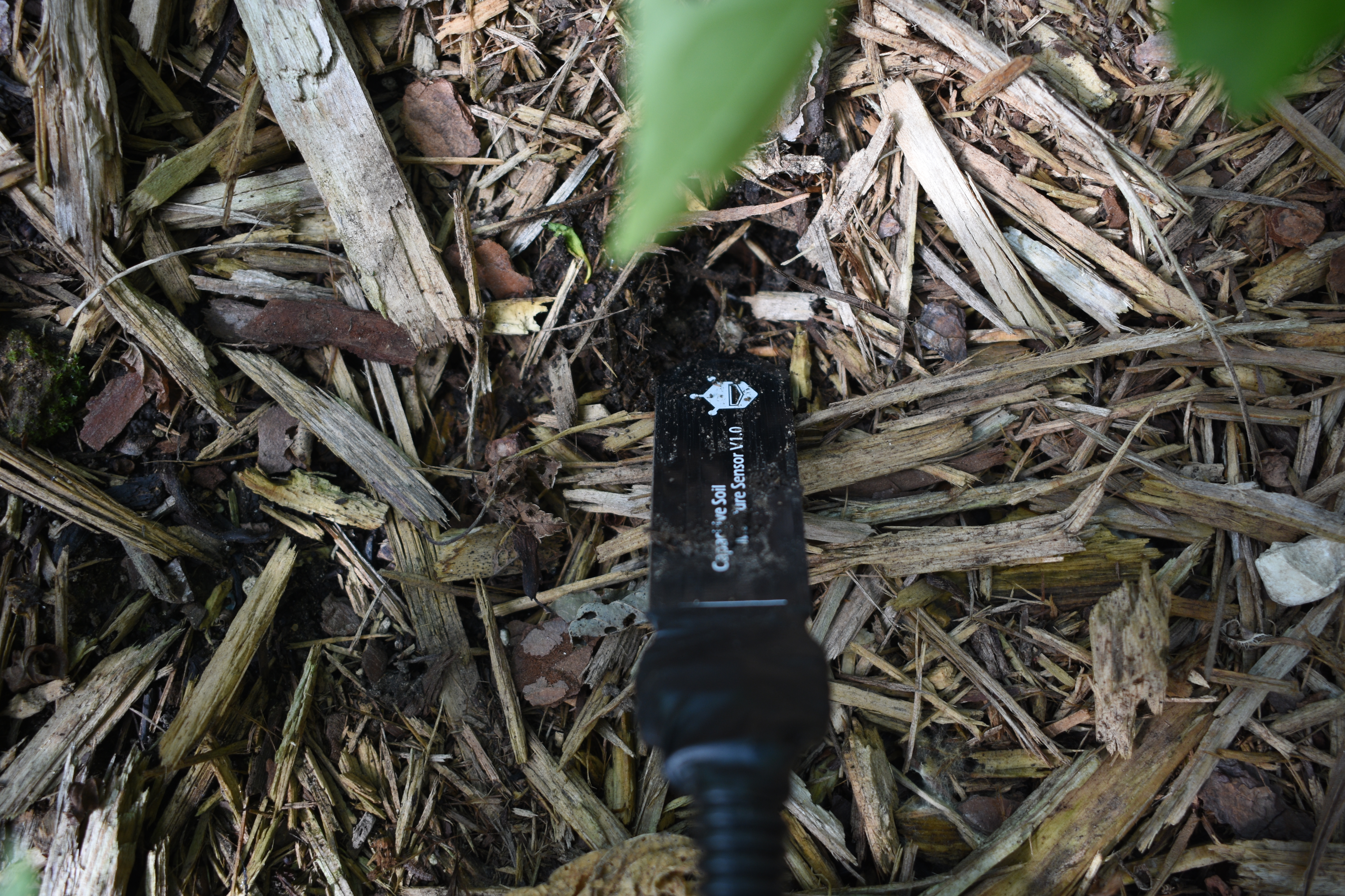 soil sensor.jpg