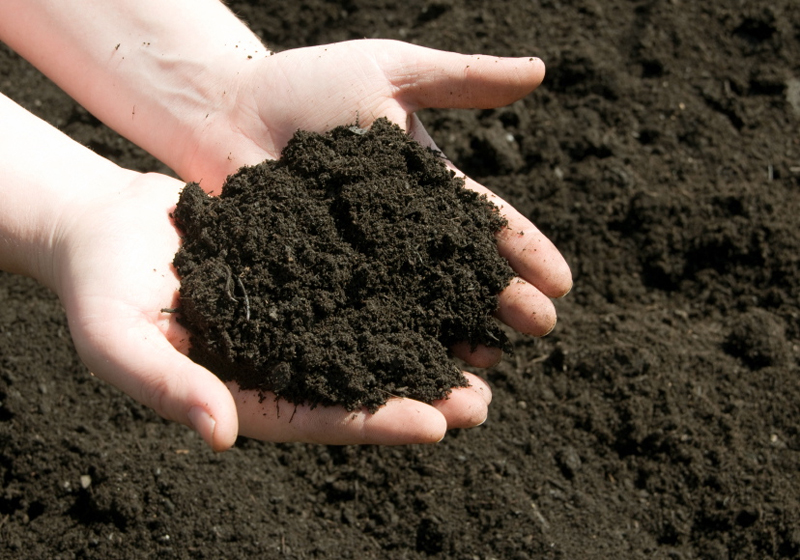 soil-in-hands.jpg