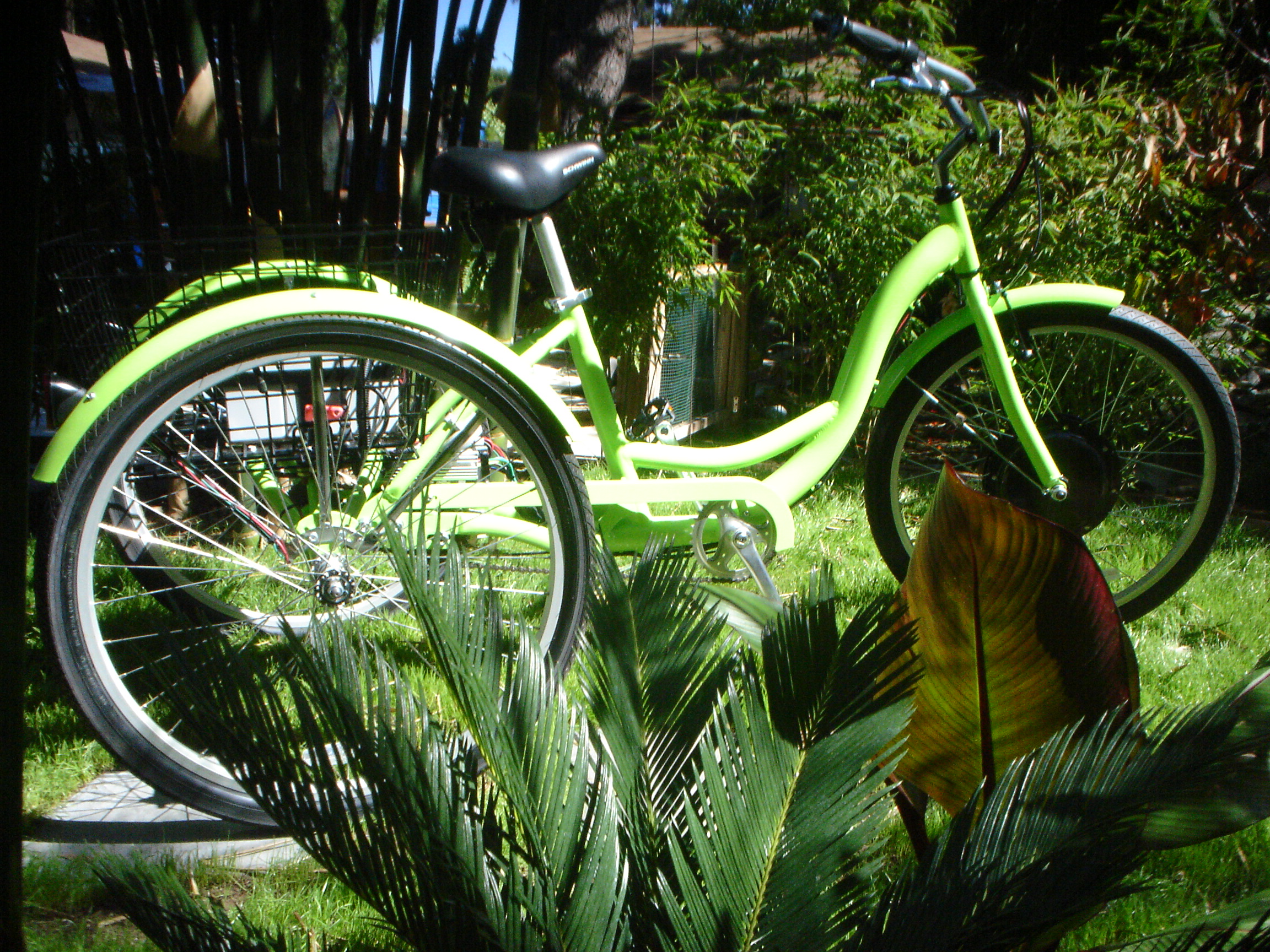 solar trike 088.jpg