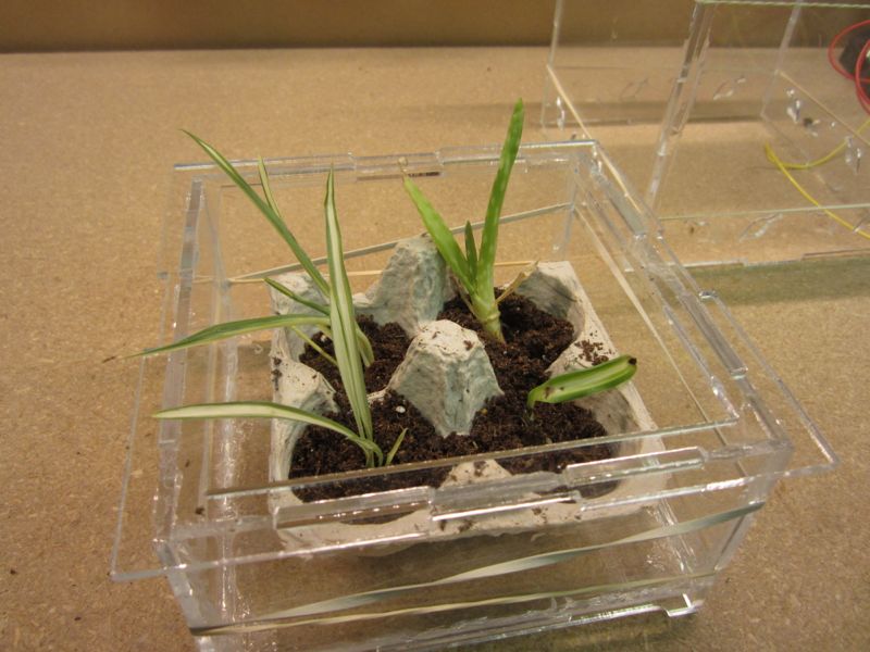 solargreenhouse29.jpg