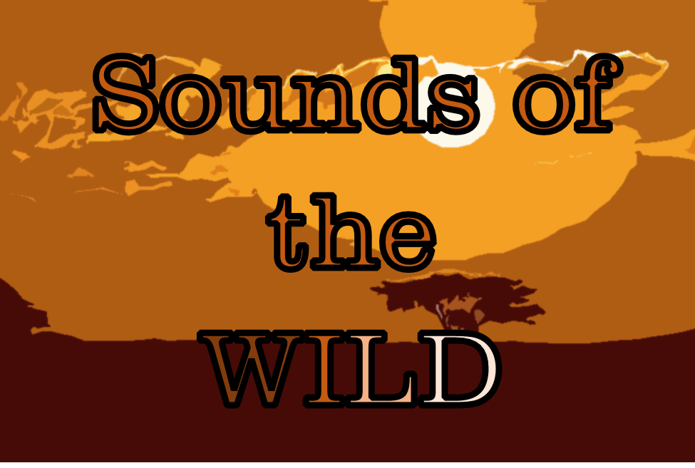 sounds of the wild.png