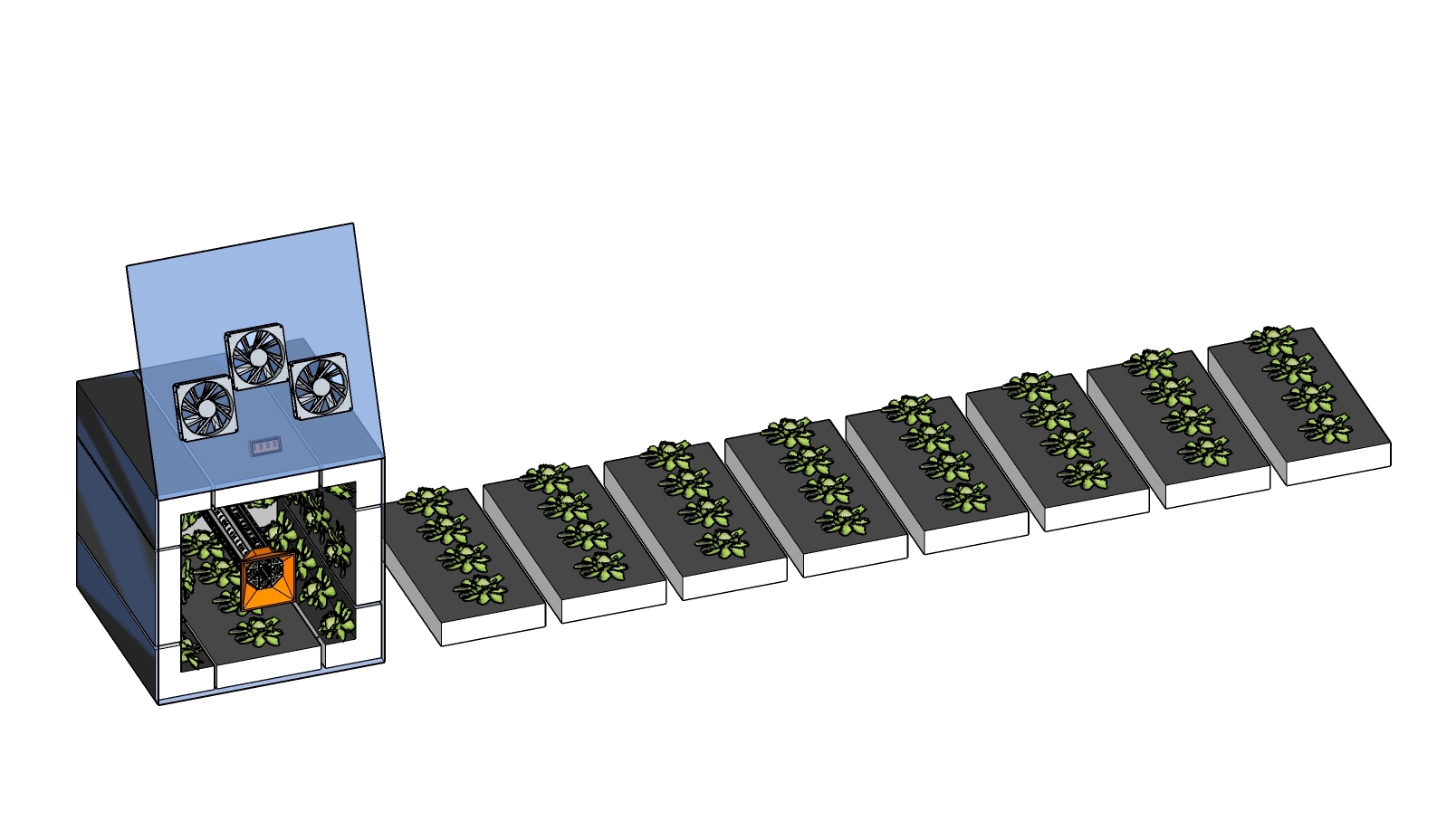 space lettuce 32 plant layout.jpg