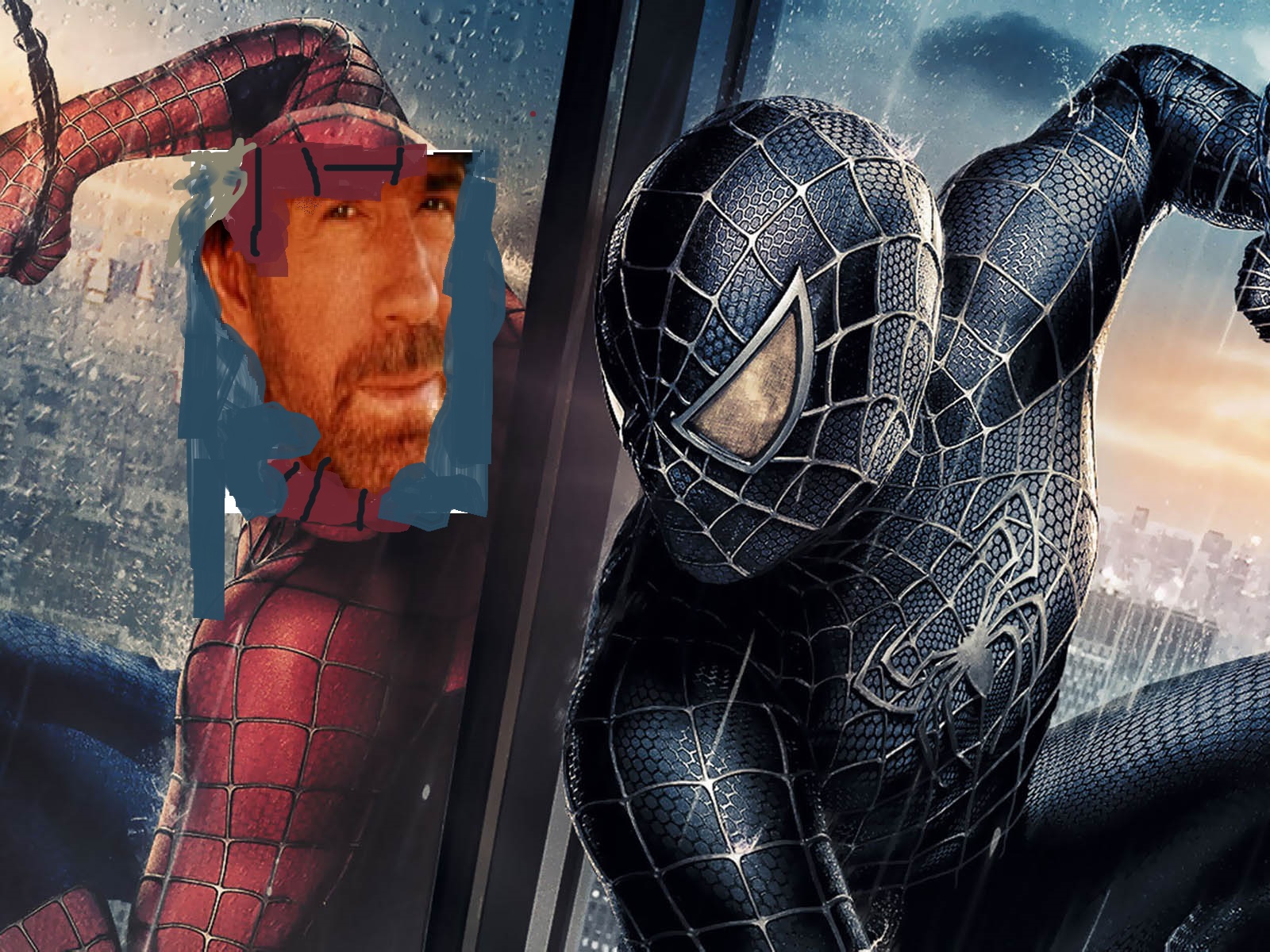 spider norris.jpg