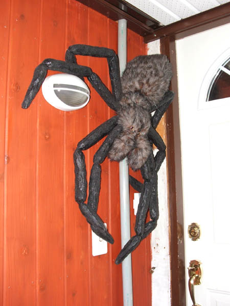 spiderdoor.jpg