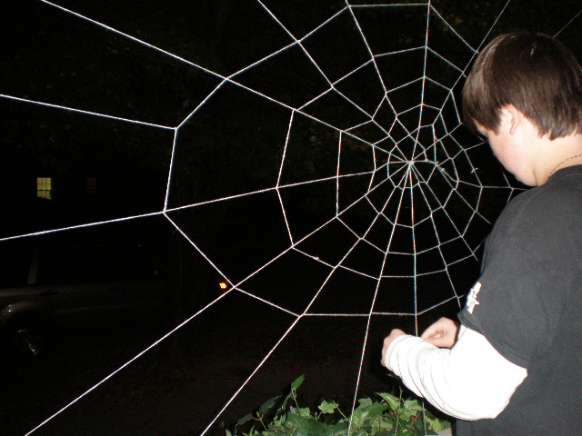 spiderweb 040.JPG