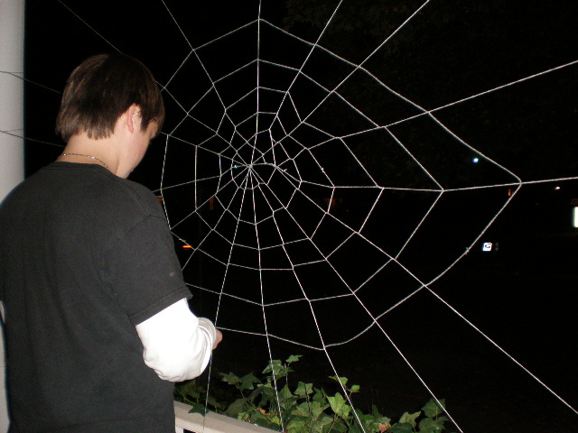 spiderweb 041.JPG