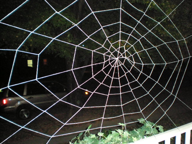 spiderweb 047.JPG