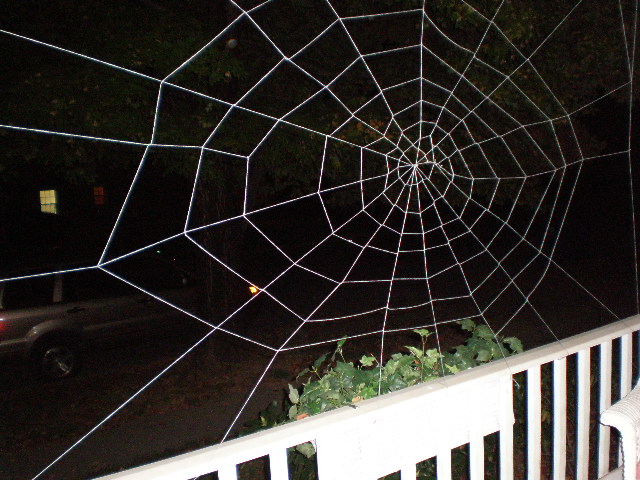 spiderweb 049.JPG