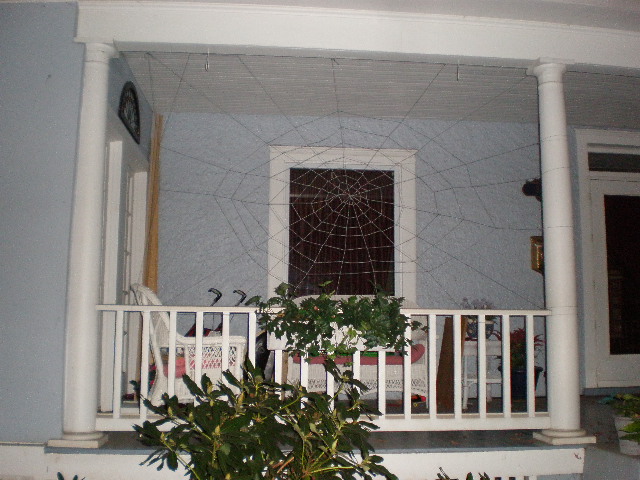 spiderweb 051.JPG