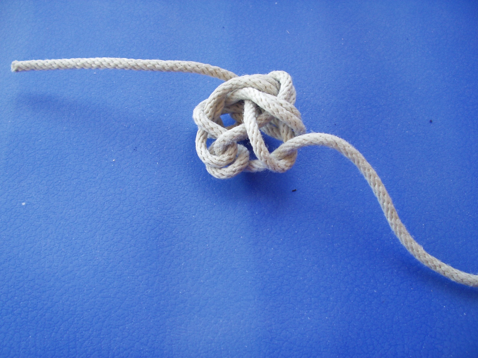 star knot a 007.JPG