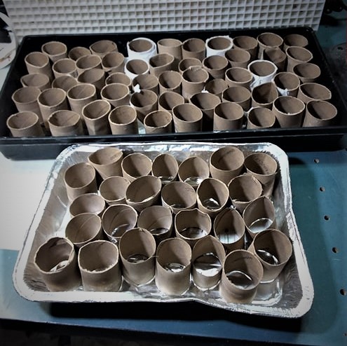 starter pots in alum and plastic trays.jpg