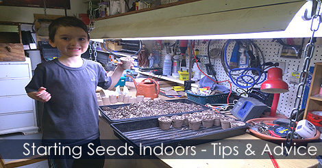 starting-seeds-indoors-guide-tips.jpg