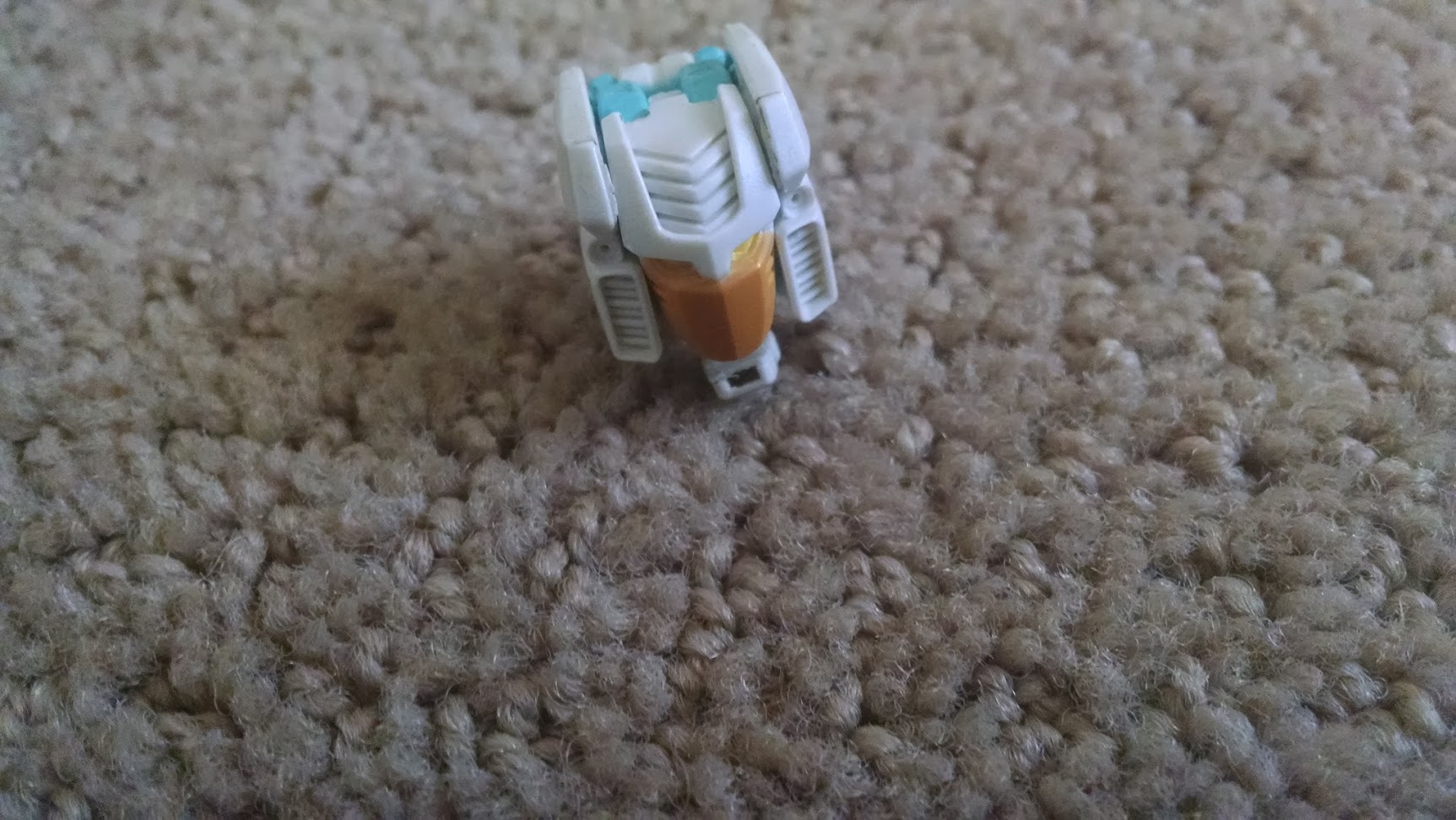 step 11.jpg