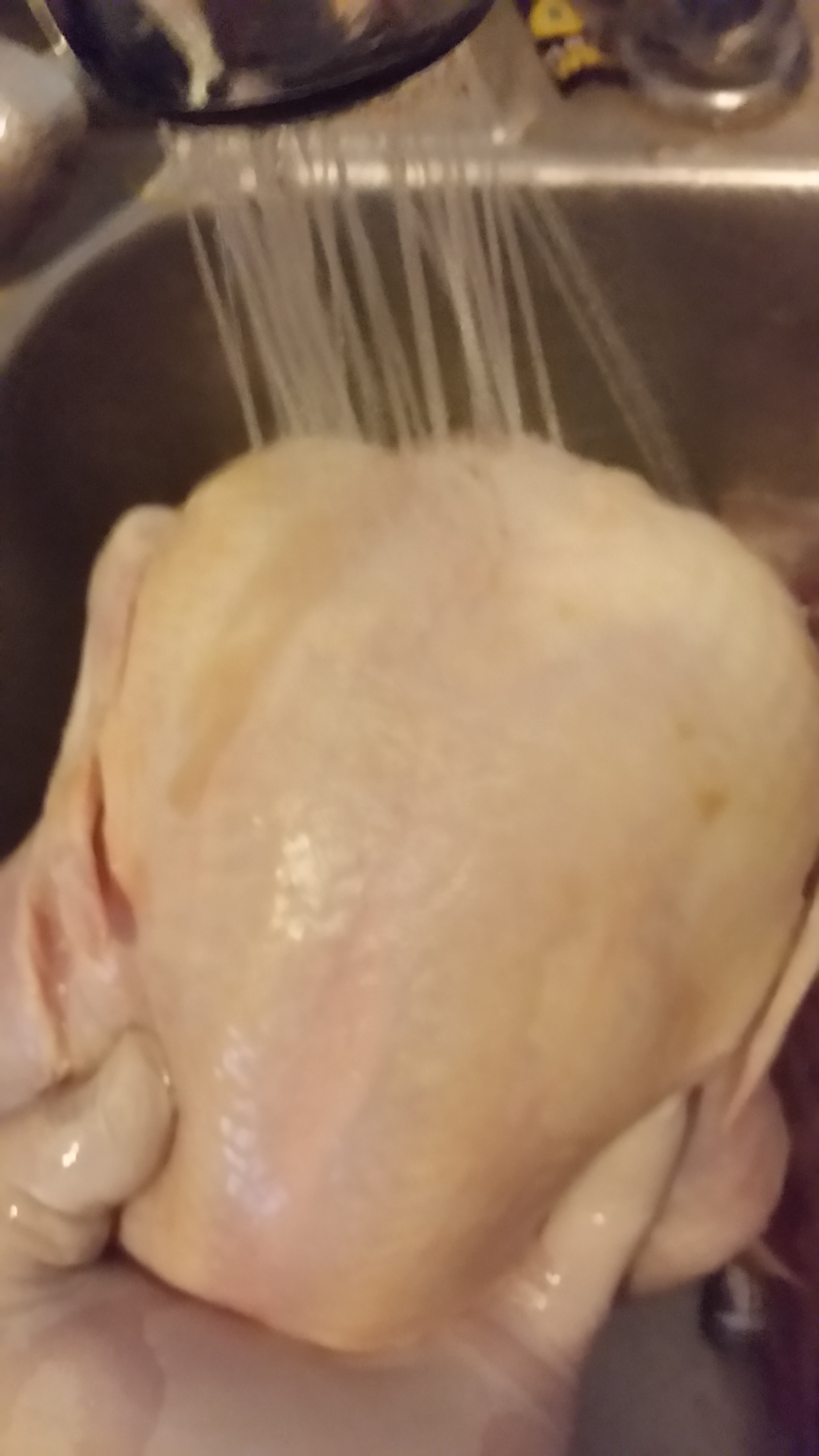 step 3 washing chicken.jpg