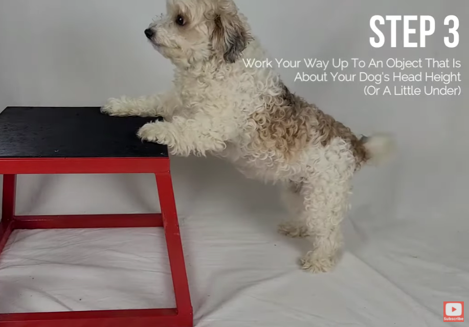 step 3.PNG