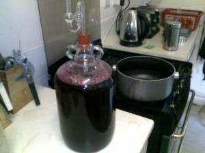 step 8- blackcurrant.jpg