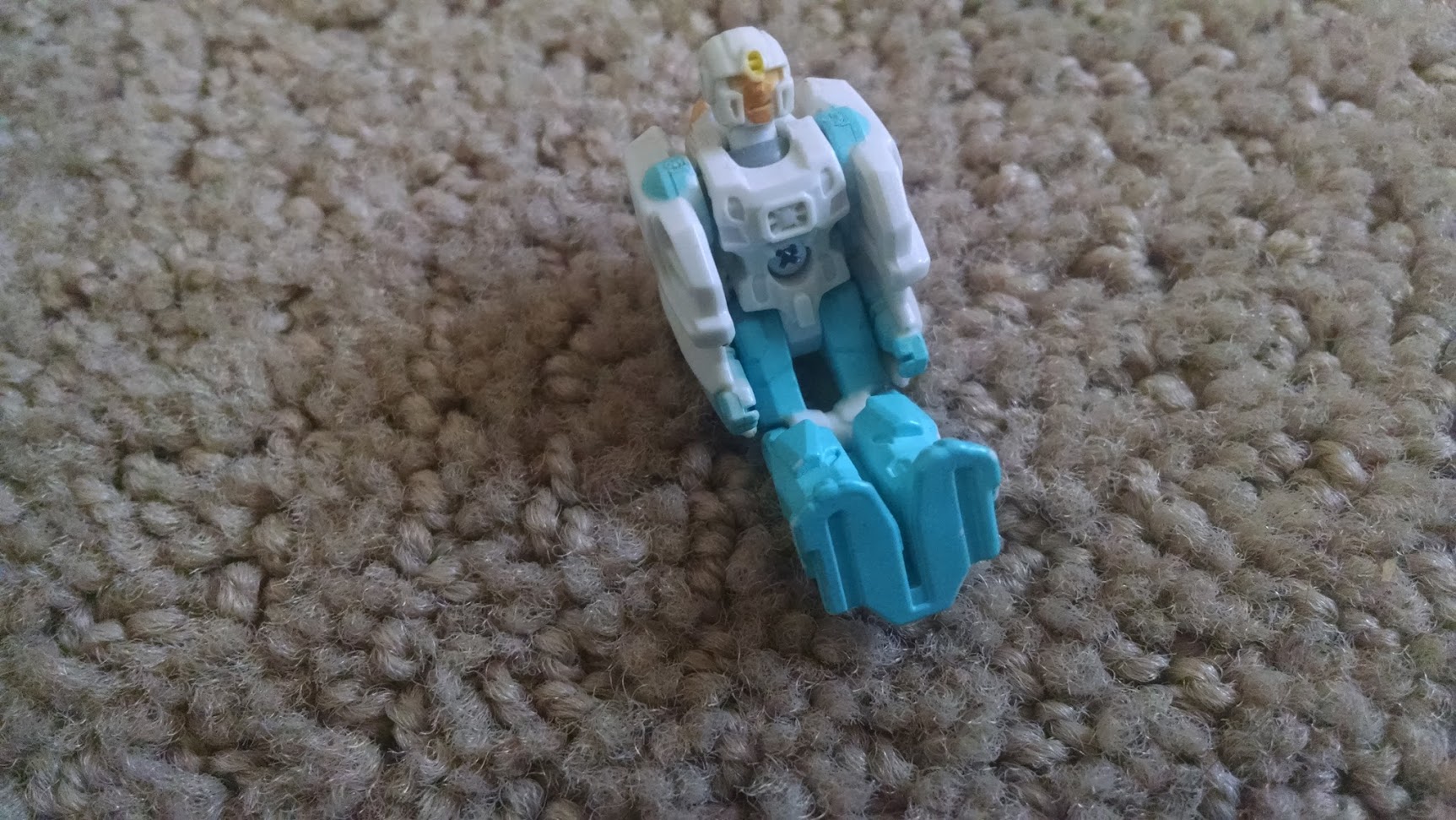 step 9.jpg