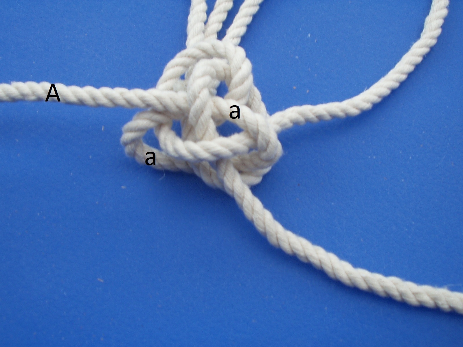 strand a.jpg