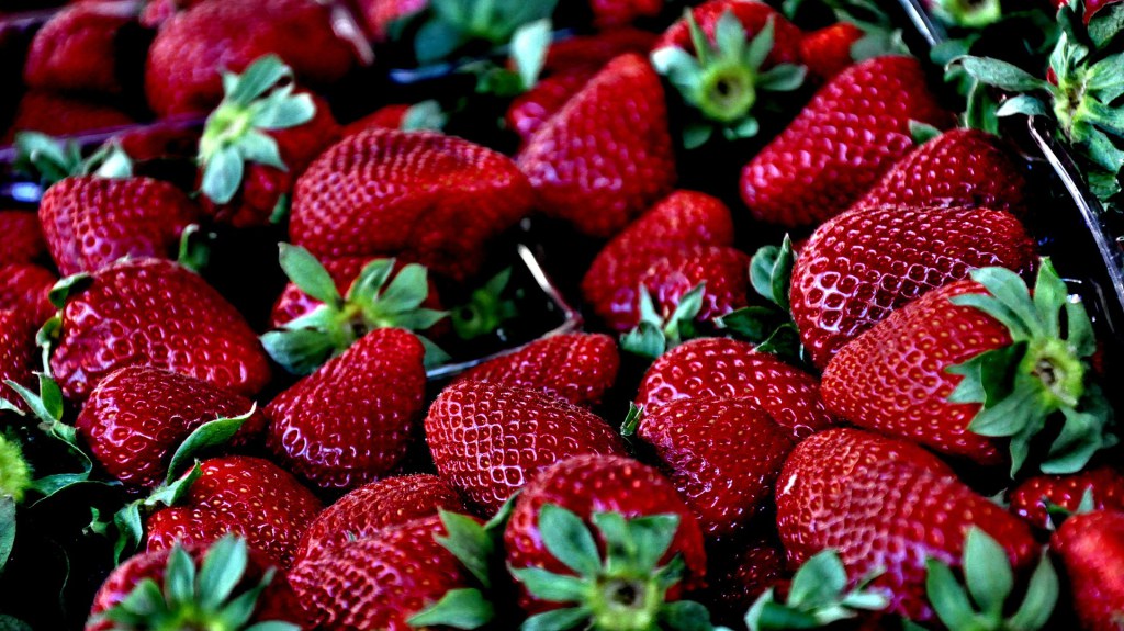 strawberry-629180_1920.jpg