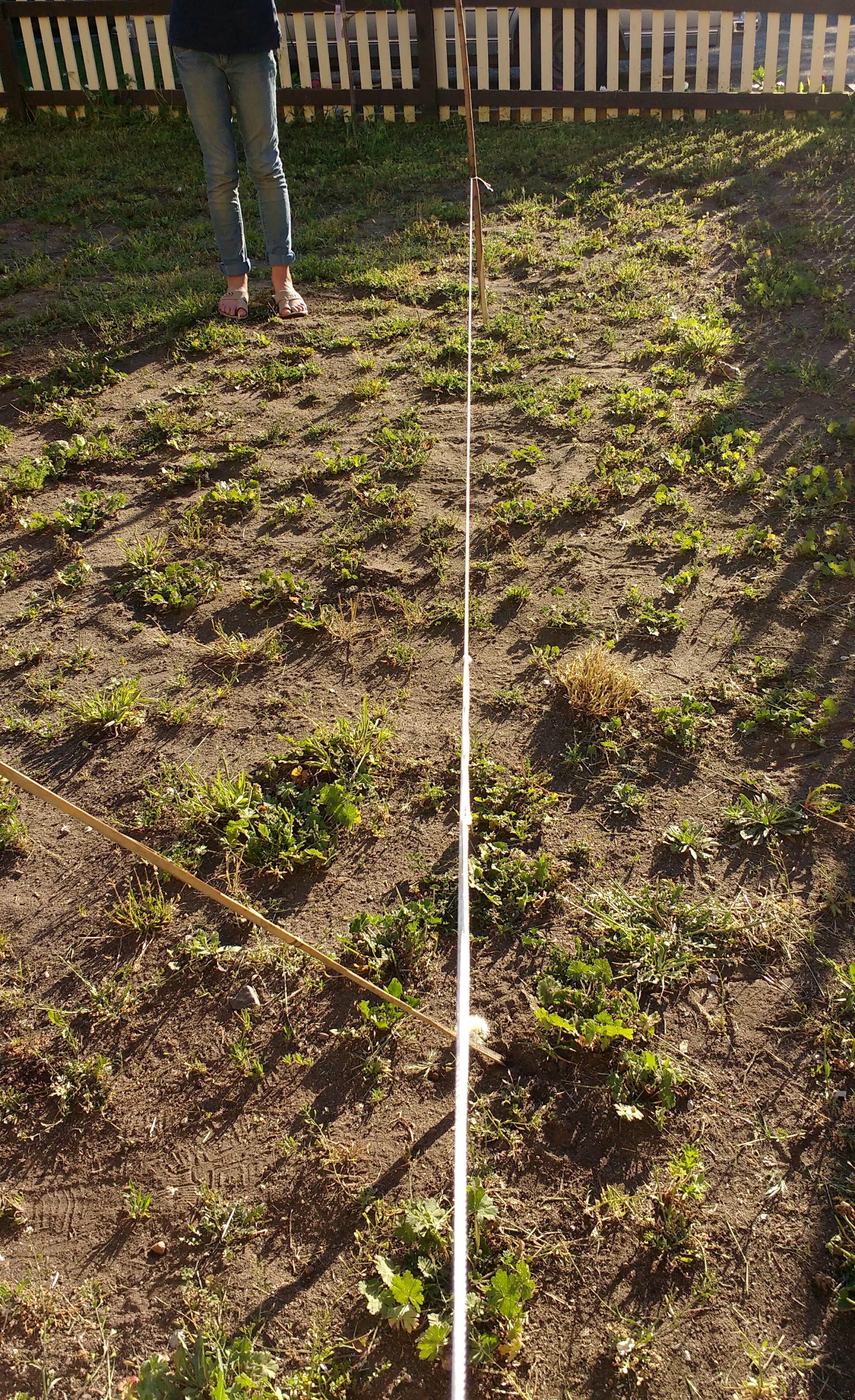 string inst 22.jpg