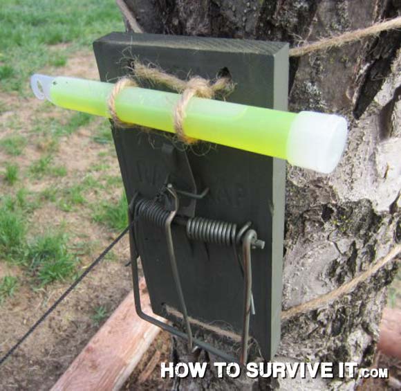 string inst camping.jpg