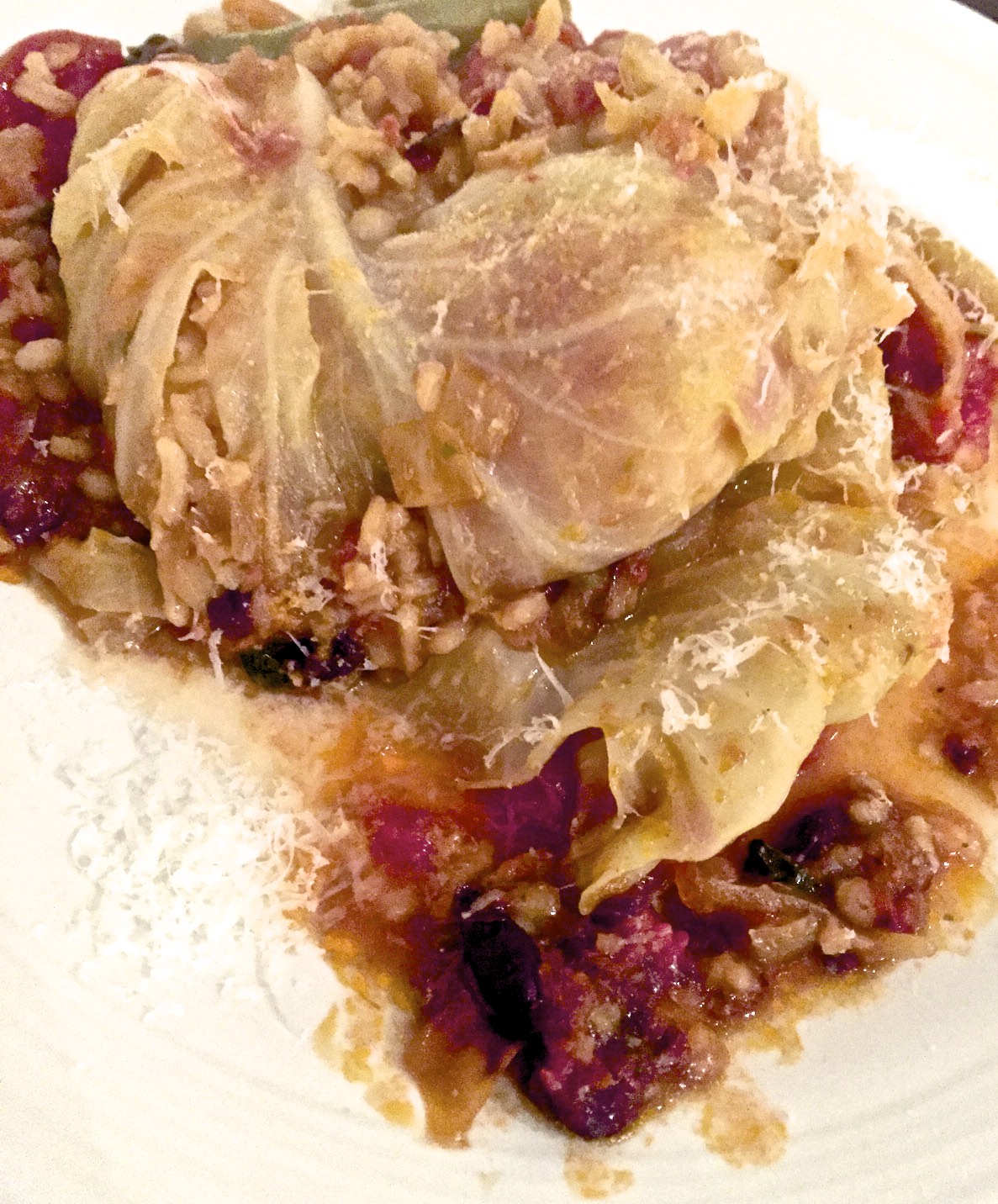 stuffed cabbage close-up.jpg