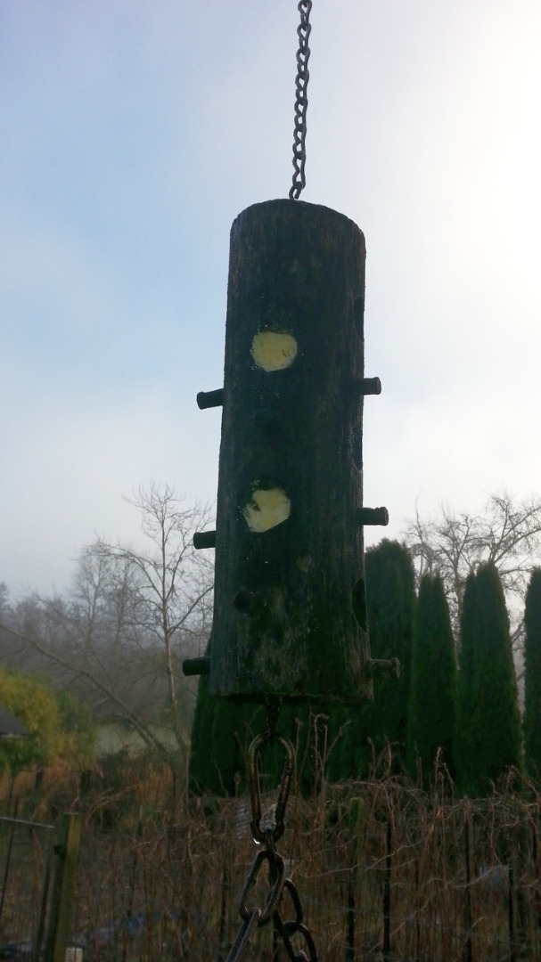 suet feeder 2.jpg