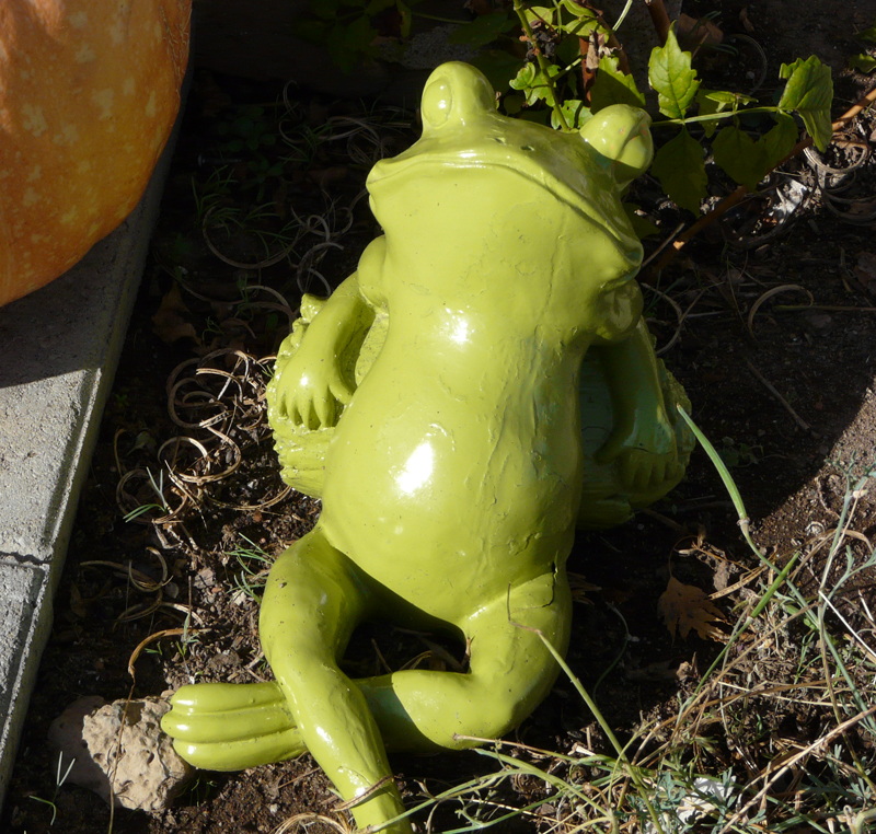 sugru-fix-frog.jpg