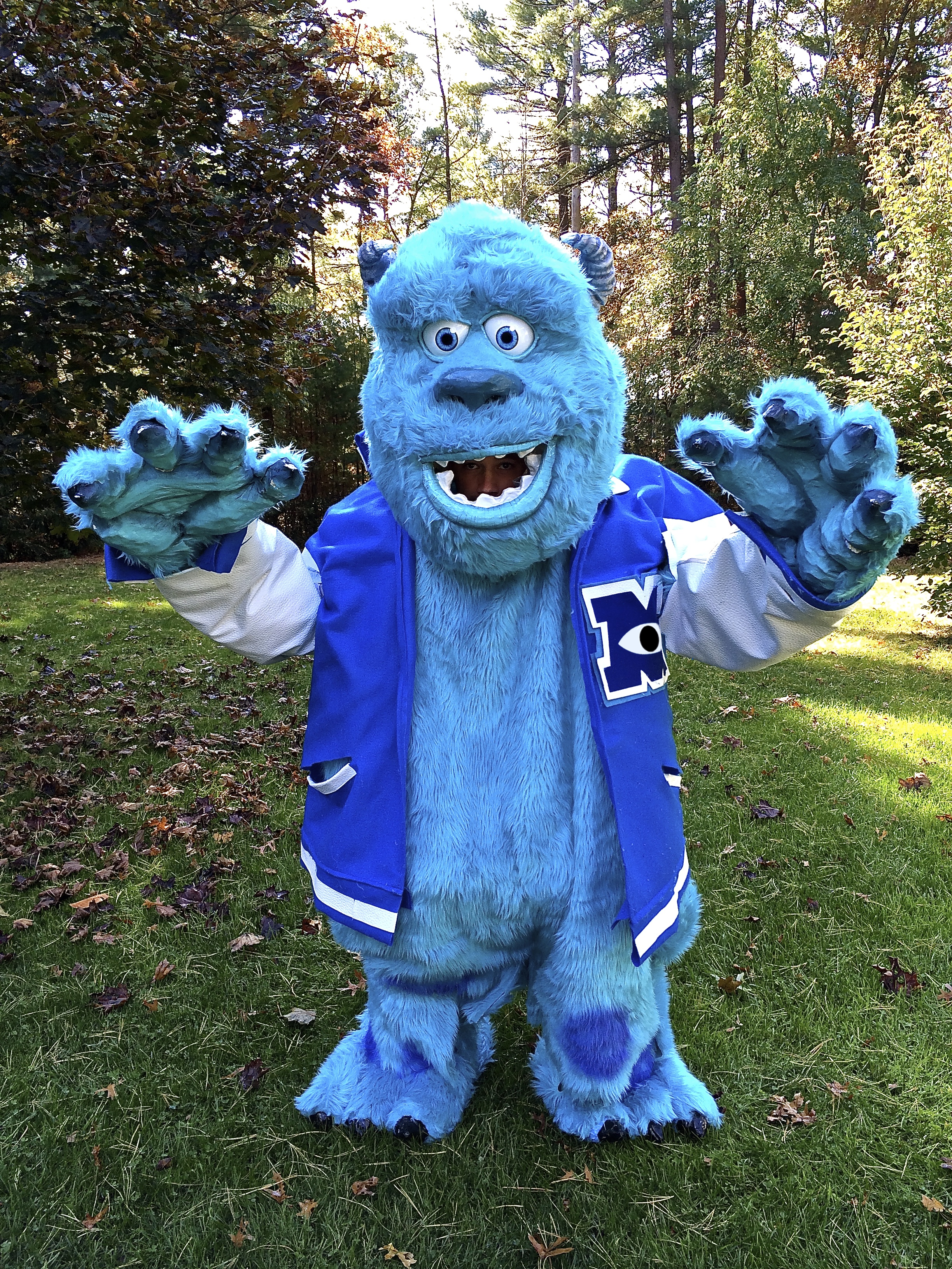 sulley.png