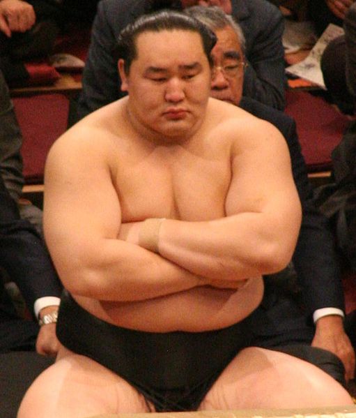 sumo.JPG