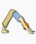 sun-salutation-step8.gif