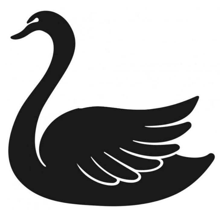 swan image.jpg