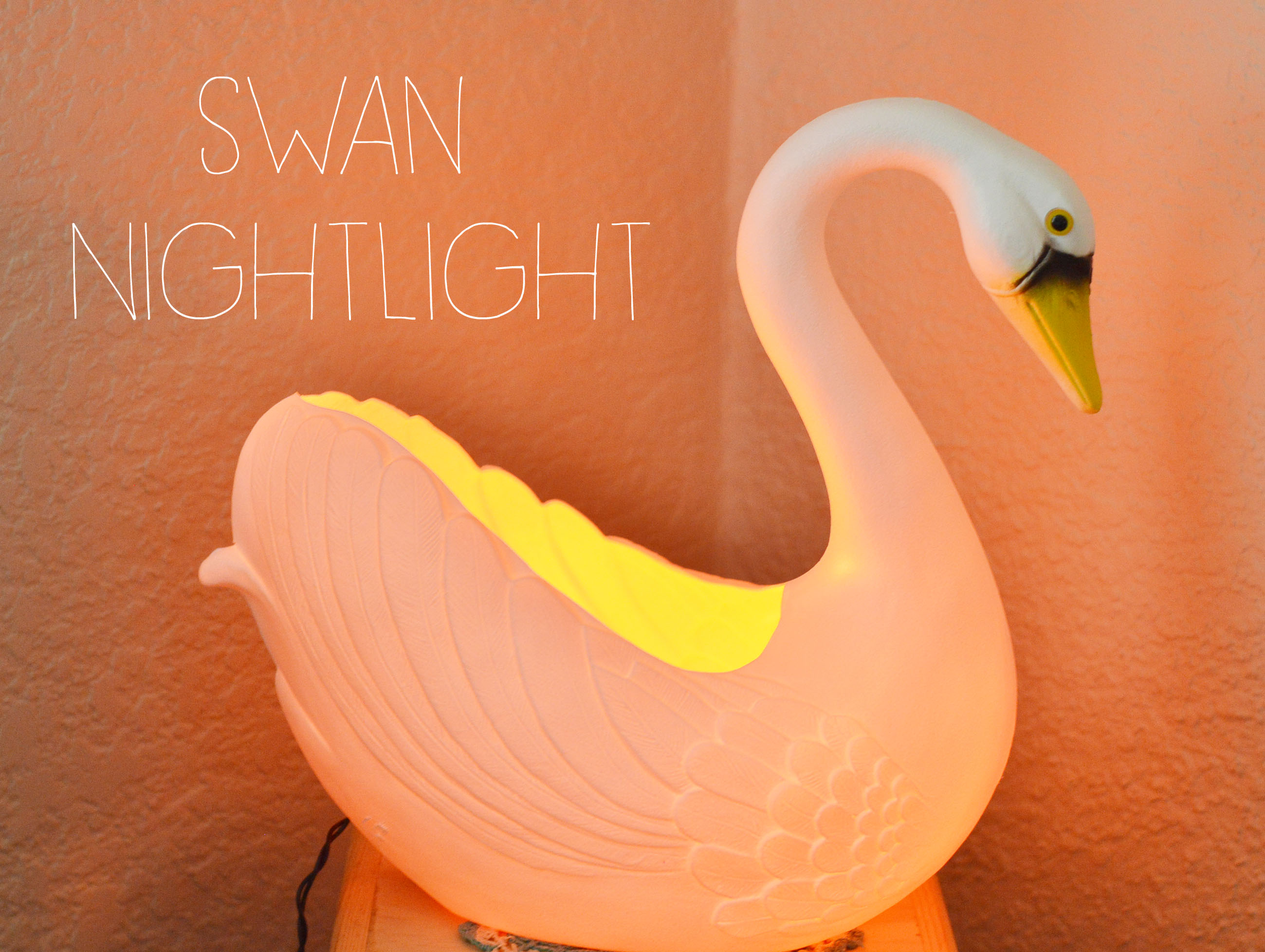 swannighlight.jpg