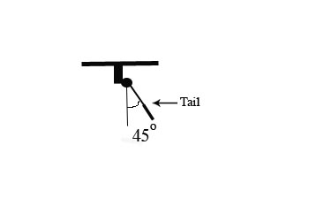 tail diagram.jpg