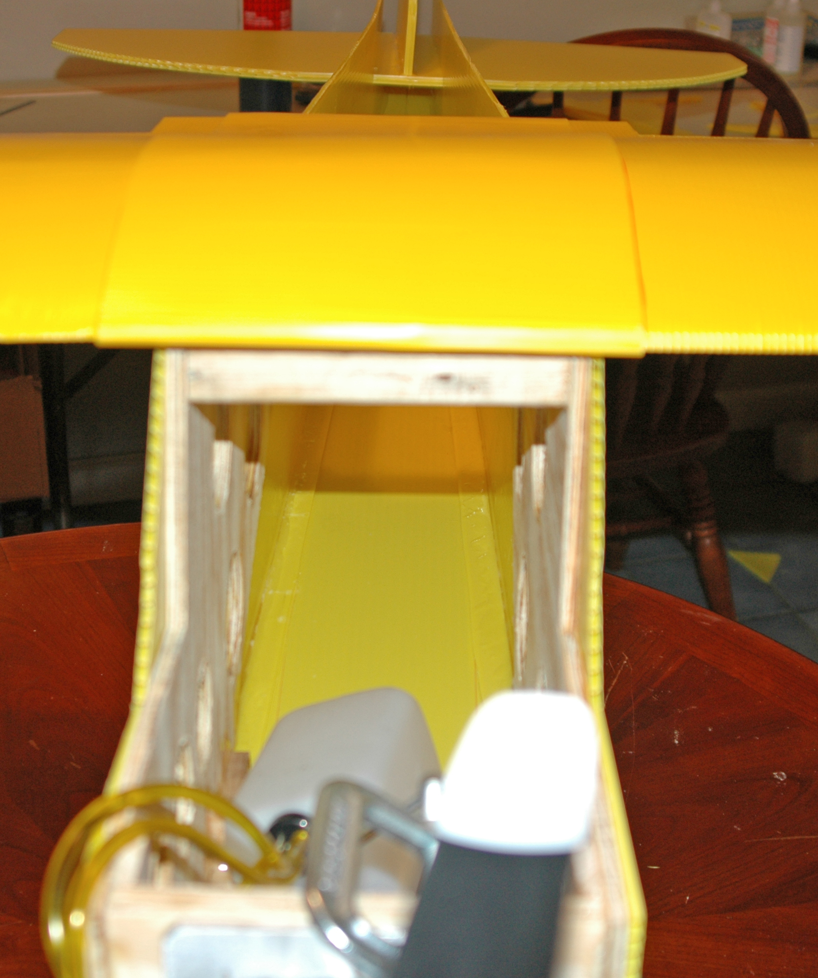 tail mounted pics.jpg