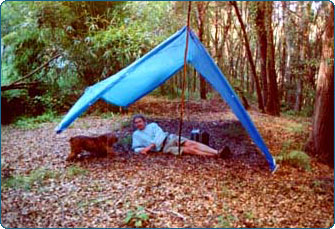 tarp-tent2.jpg