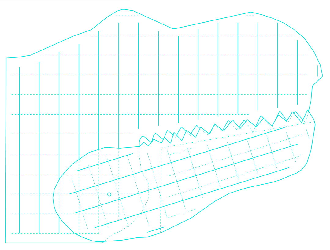 teeth closed x ray view.png