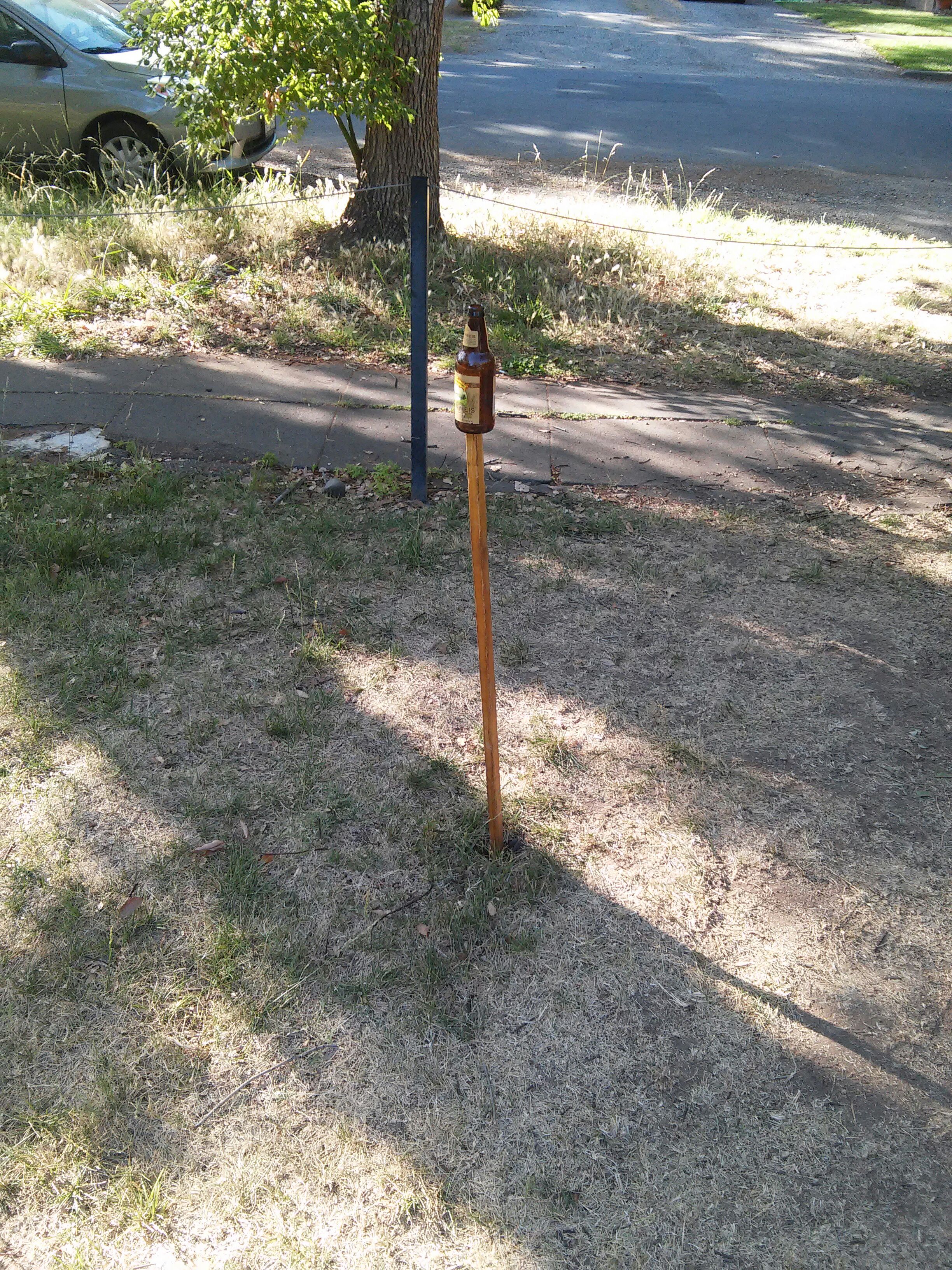 temp_-1038063769.jpg