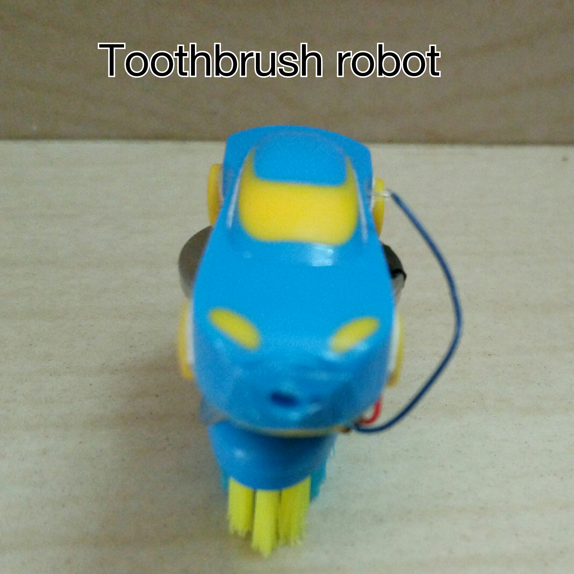 temp_-1190151584.jpg