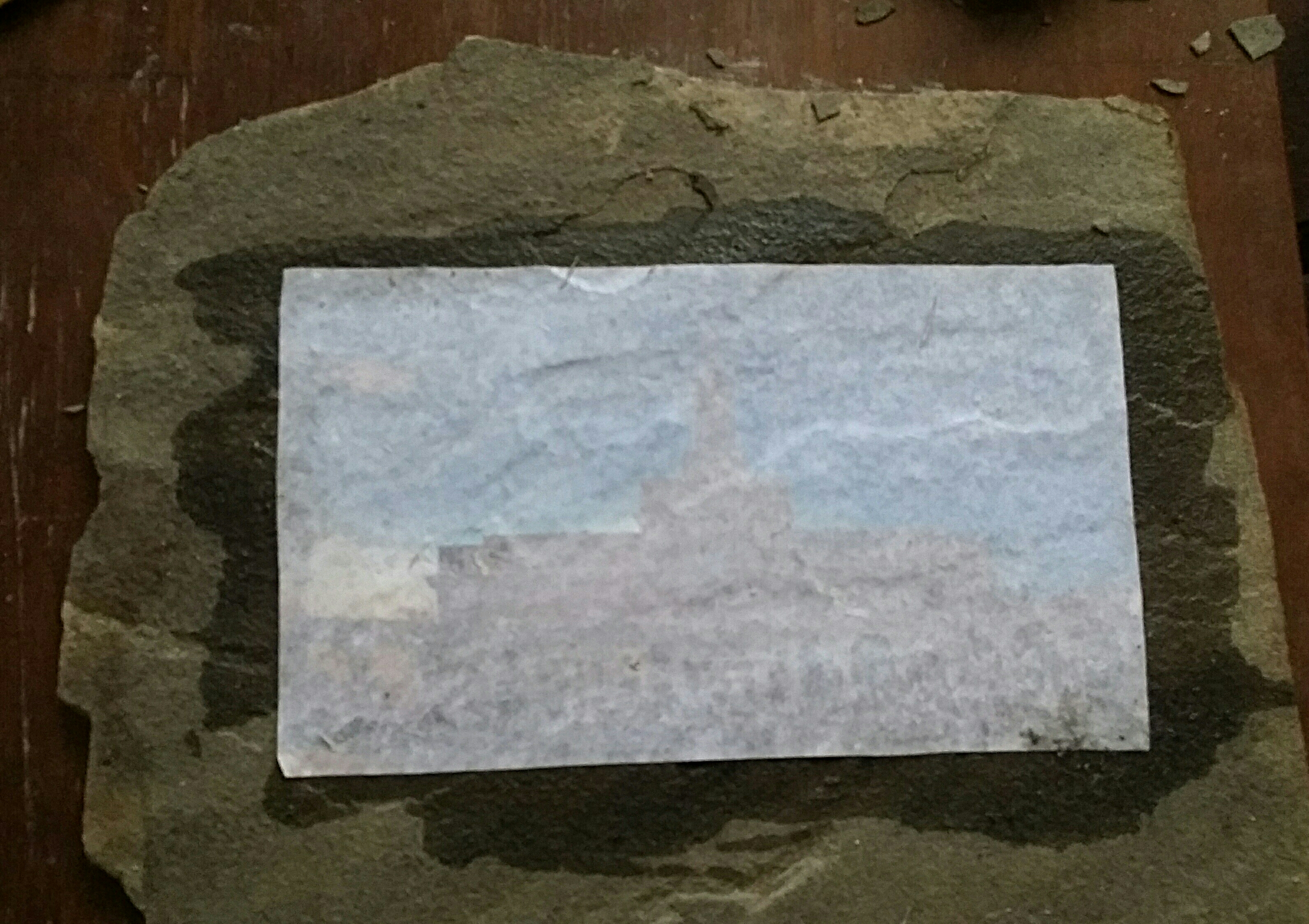 temp_292478872.jpg