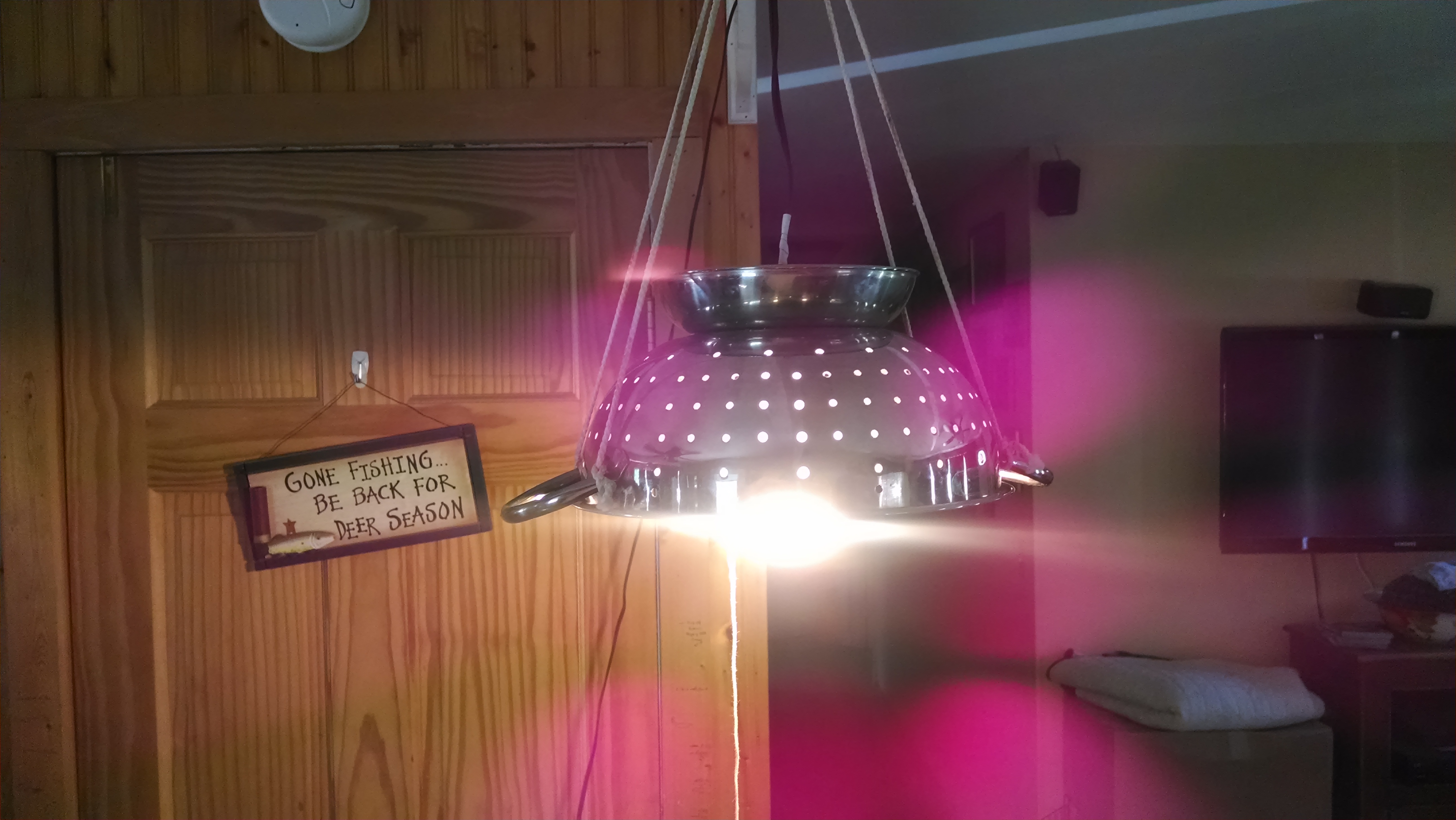 temp_951070232.jpg