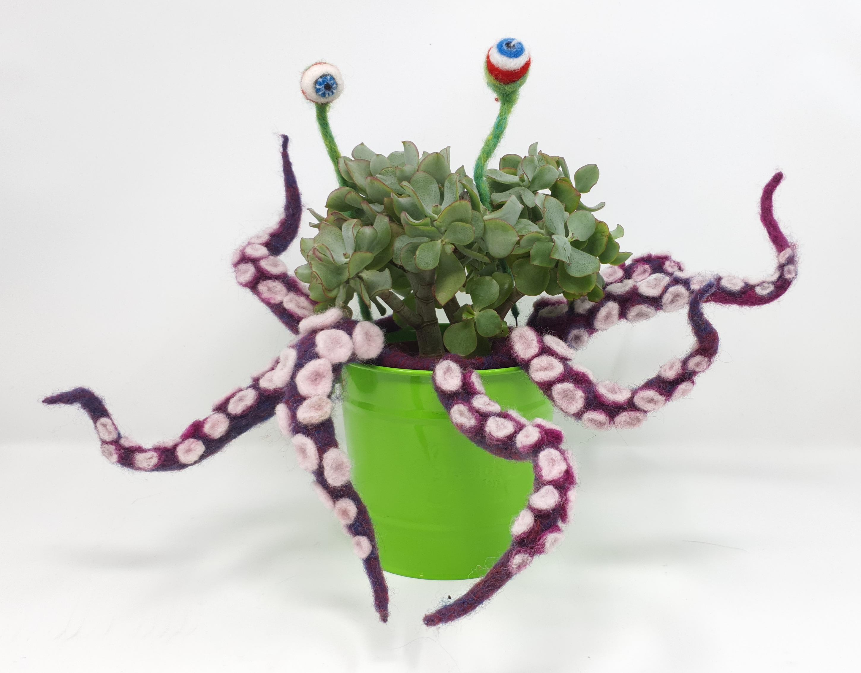 tentacled plant.jpg