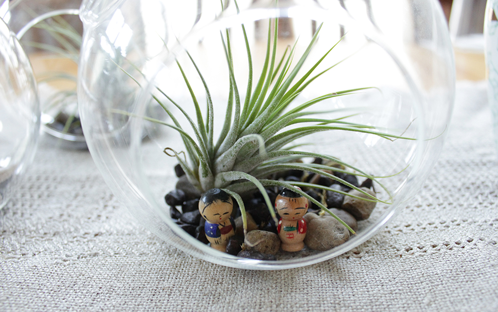 terrarium 2.jpg