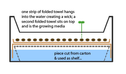 tetra-pak-cutaway2.jpg