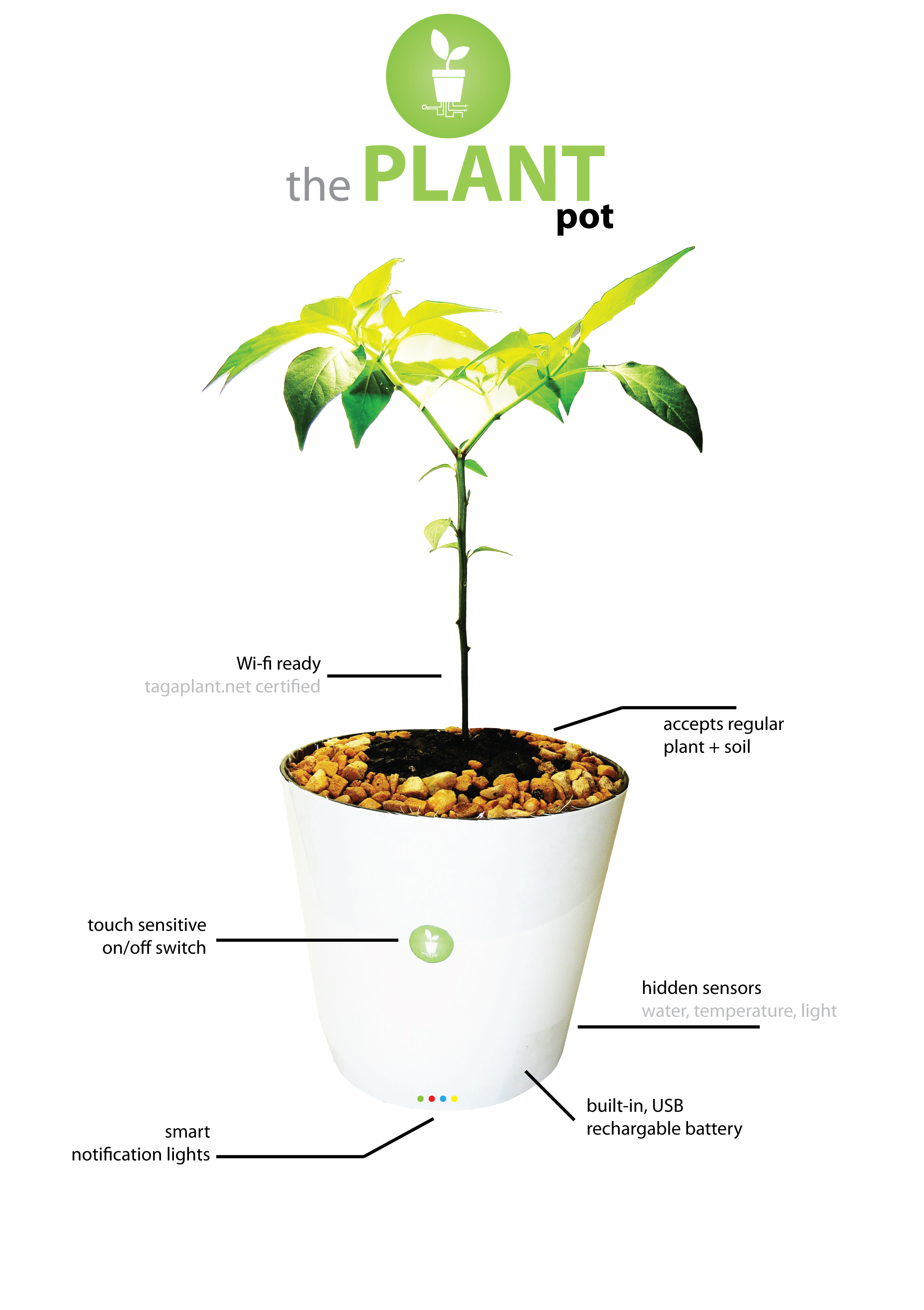 the plant pot.png