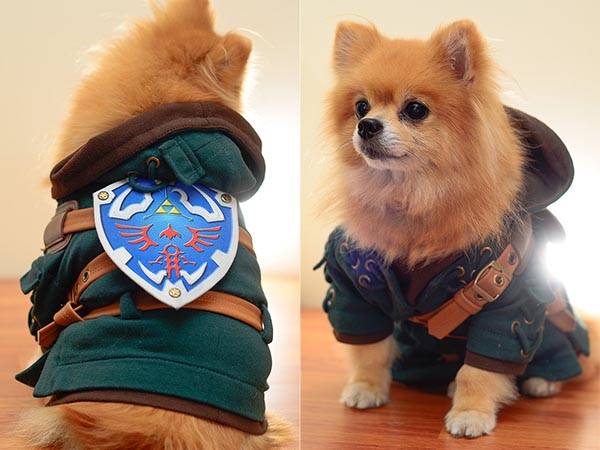 the_legend_of_zelda_dog_costume_1.jpg